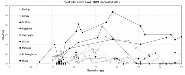 This line graph shows the percentage of tillers with RWA (%TwRWA) against growth stage for the RWA inoculated untreated control plots (AI-UTC) in all inoculated trial sites in 2019.