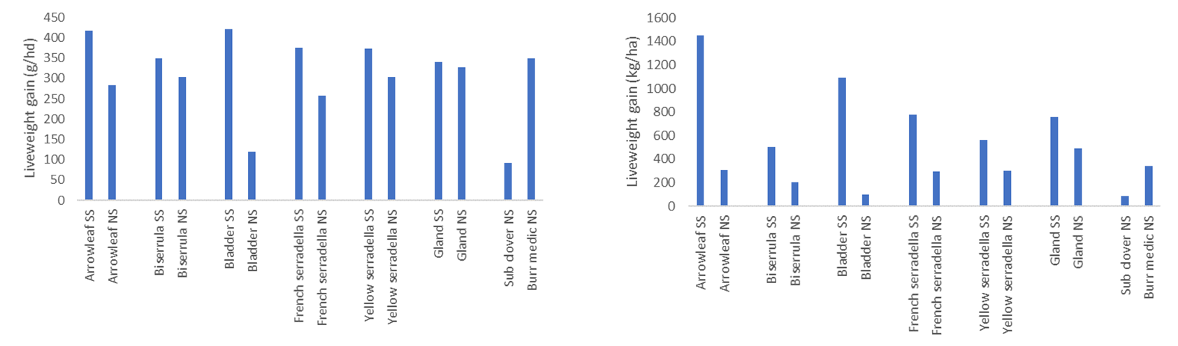 These two column graphs show the predicted liveweight gain (g/hd/d) from Grazfeed for a range of pasture legumes established via summer sowing (SS) or conventional sowing in May (NS) based on feed quality (digestibility and crude protein), herbage biomass and the calculated weight gain (kg/ha) based on herbage biomass at the time of sampling for three sites in 2019. 