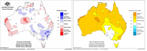 left image shows rainfall deciles for January to November 2020, based on all years from 1900 to 2020/ The right image shows mean temperature deciles for January to November 2020, based on all years from 1910 to 2020. The images are sourced from the Bureau of Meteorology 