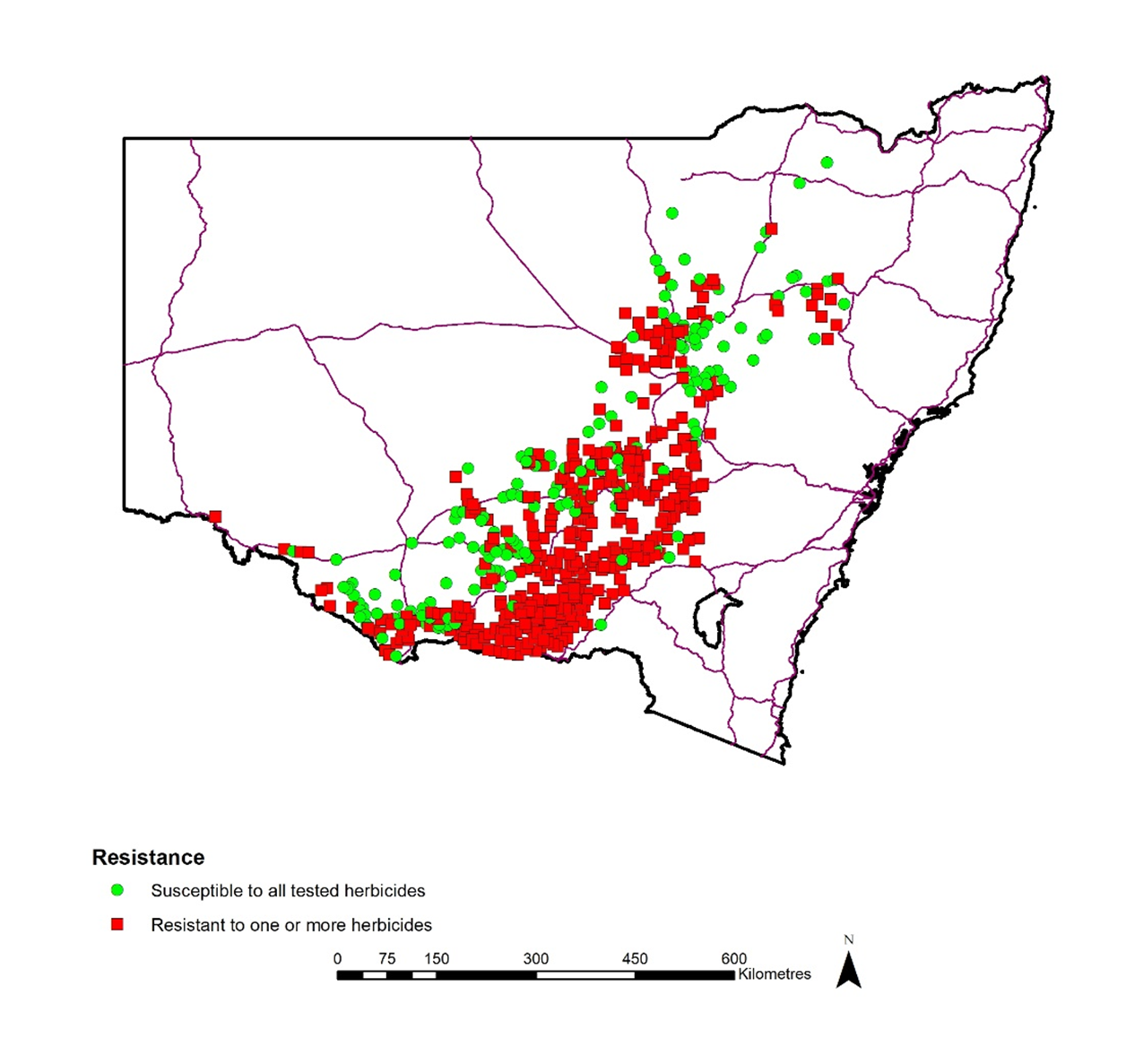 This figure is a map of NSW showing the distribution of northern region annual ryegrass populations that are susceptible (green circles) or resistant (red squares) to one or more herbicides.