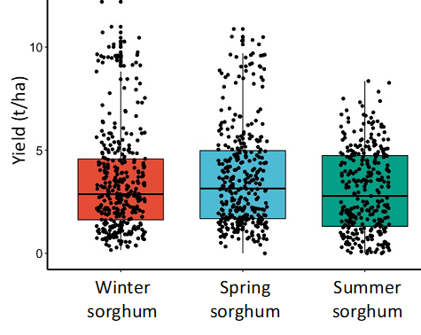 This scatter boxplot shows the treatment yields for the sowing times in winter (TOS 1), spring (TOS 2) and summer (TOS 3)