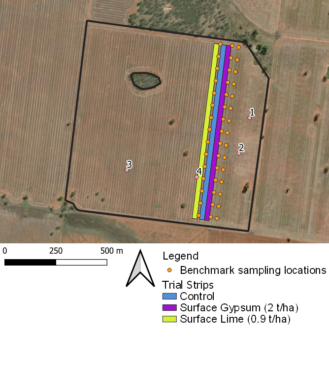 Image of paddock showing trial design and benchmark soil sampling locations