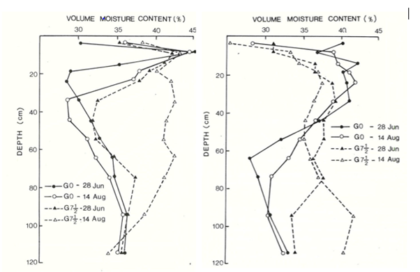 Two line graphs showing volumetric water content as a function of depth on poor-yielding sodic soil at ‘Delvin’ Garah and ‘Wyndella’ Gurley in the winter of 1978, with and without gypsum (7.5 t/ha) at two times 6 weeks apart (So and McKenzie 1984).
