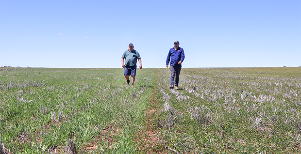 Michael Moodie (left) and Scott Anderson walking.