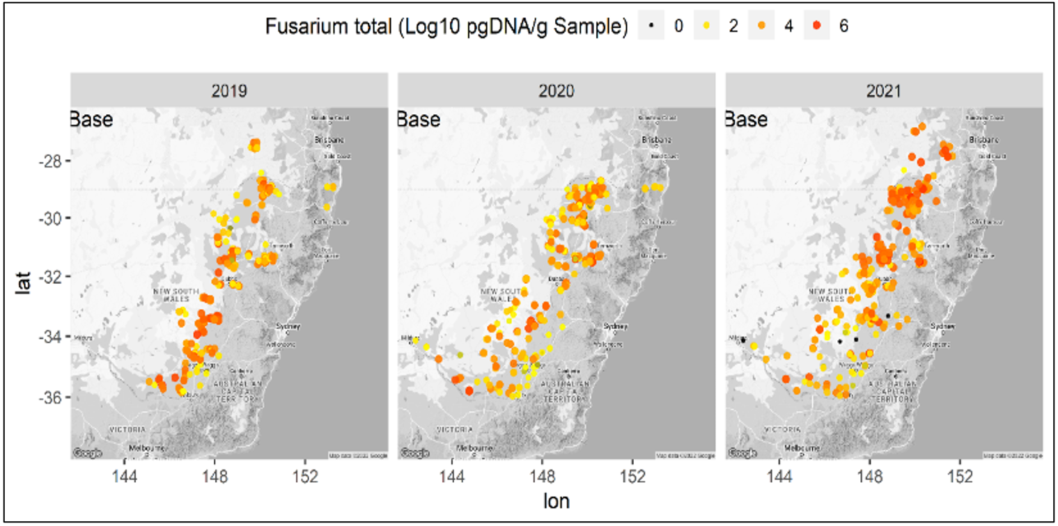 Map showing the levels of Fusarium crown rot within base of randomly surveyed winter cereal crops (2019 to 2021) as assessed using quantitative PCR of pathogen DNA levels – BLG208 and BLG207.