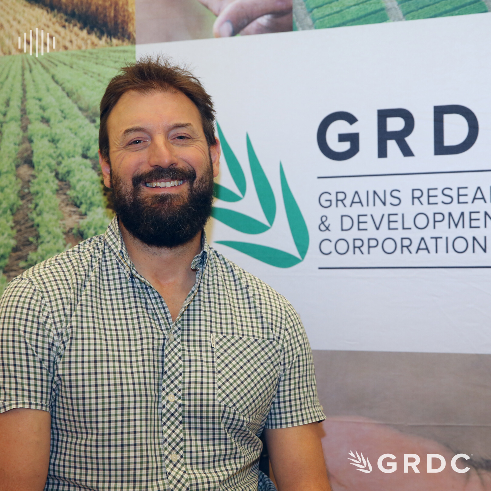 Nutrition in the West – Yield response to P fertiliser (1/4)