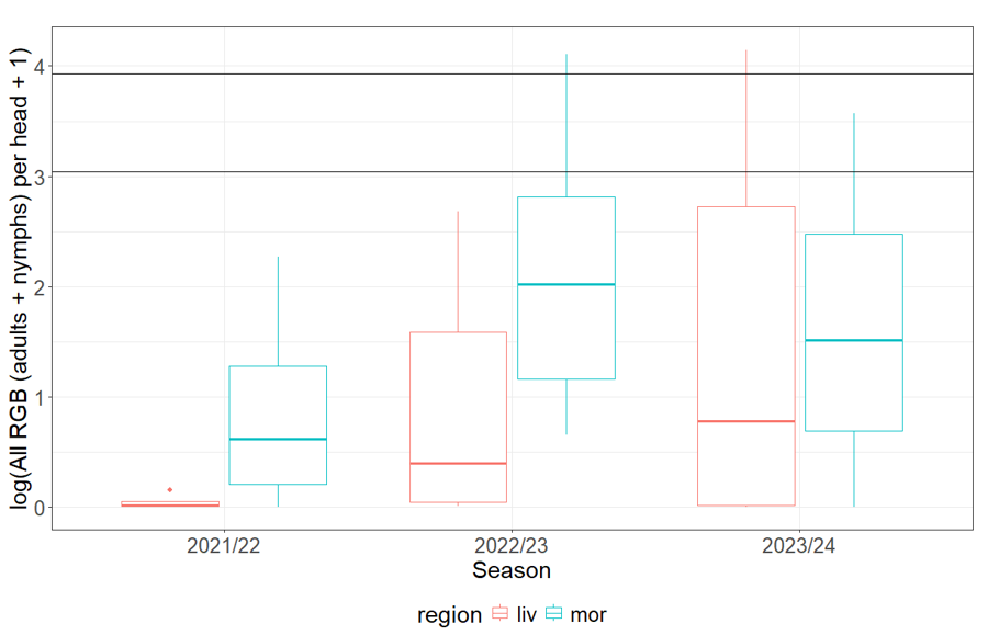 Box plot showing the mean population of Rutherglen bug per head on both flowering and mature sorghum summarised across field sites, by each of the three field seasons and two regions of NW NSW (liv = Liverpool Plains; mor = Moree).