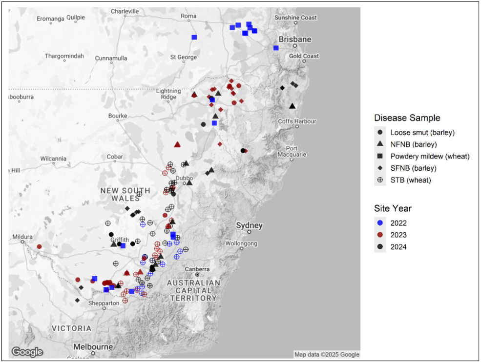 Map showing the spatial distribution of samples submitted by NSW DPIRD to CCDM for fungicide insensitivity screening from 2022 to 2024.