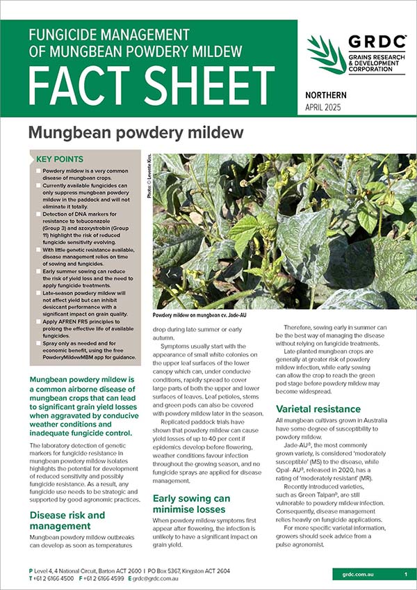 Fungicide management of mungbean powdery mildew - GRDC
