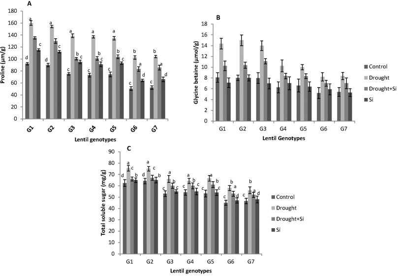 ILL 6002 (G1), Indianhead (G2), PBA Jumbo 2 (G3), PBA Nipper (G4), PBA Flash (G5), PI 468898 (G6), ILL 1796 (G7) represent different lentil genotypes. Control (C), drought stress (D), drought stress + Si (DSi) and Si alone (Si) are the different drought stress treatments. Mean values provided with error bars represent the standard error. Different letters denote statistical differences at p ˂ 0.05 within genotypes.