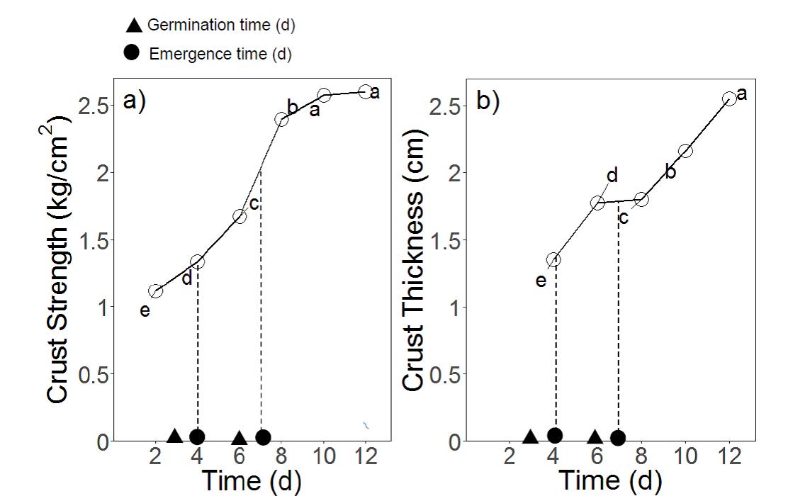This is a set of two line graphs showing the development of a) crust strength and b) thickness along with time of strong crust and time of seed germination and seedling emergence along with time. The genotypes that germinated on day 3 were able to emerge through the soil crust while crust strength and thickness were still relatively low (strength of <1.3 kg/m2 and thickness <1.3 cm) (Figure 11) and thus emerge easily (Figure 9a). The seeds that germinated on day 6 however, had to emerge through a higher crust strength (≥2 kg/cm2) and thickness (≥1.5 cm) (Figure 11). 
