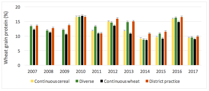 Bar graph of wheat protein in response to different rotations