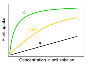 This line graph shows the schematic representation of the relationship between nutrient supply and uptake.  The curved response for potassium reflects the plants specific uptake mechanisms for potassium, while the straight line response for boron indicates passive uptake (not actively controlled)