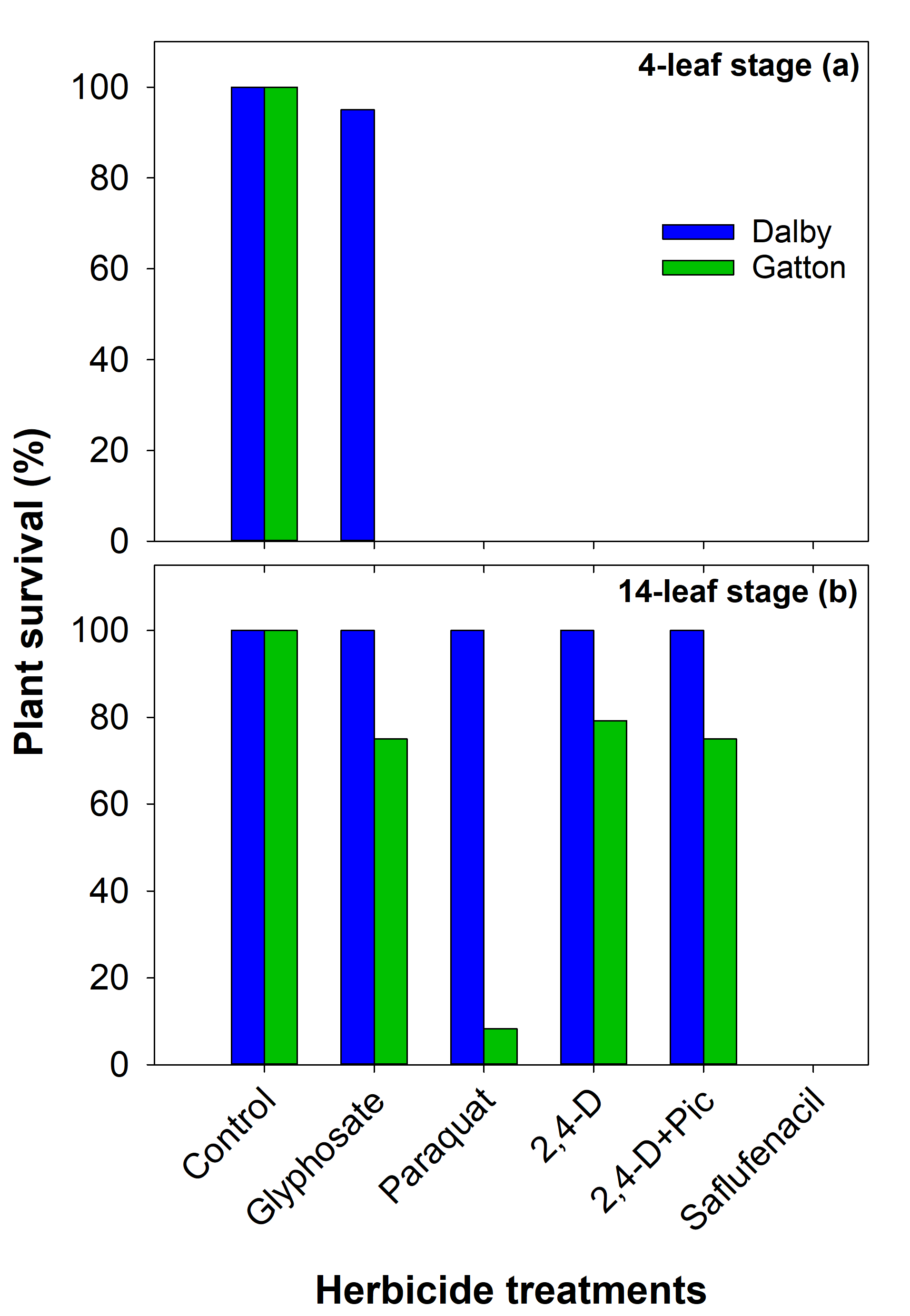 These two bar graphs show the effect of different herbicide treatments on survival (% of the non-treated control treatment) of the Dalby and Gatton populations of tall fleabane when applied at 4-leaf (a) and 14-leaf stage (b).