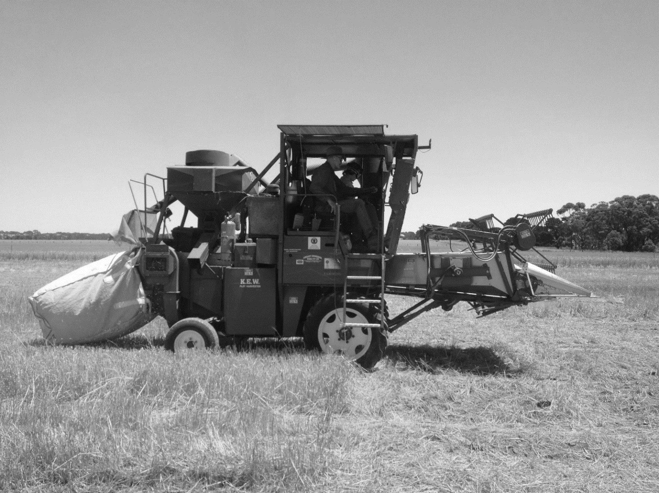 Photo of harvest weed seed control simulation by using a plot header and capturing harvest trash to be discarded off-site