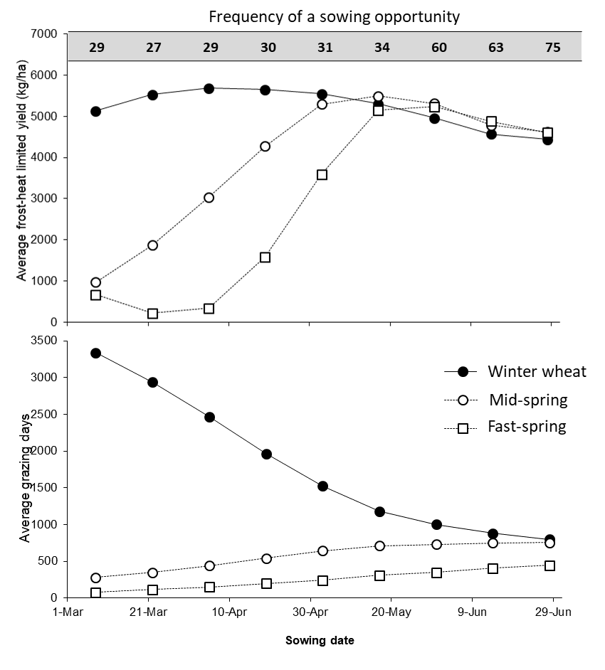 These two line graphs show the simulated average a) grain yield and b) grazing potential from a dual-purpose winter wheat (e.g. EGA Wedgetail ) compared to mid and fast-spring grain wheats for different sowing times at Quirindi. The frequency of a sowing opportunity in each of these sowing windows is also predicted based on the proportion of years when rainfall exceeds potential evaporation over seven days in these fortnightly sowing windows.
