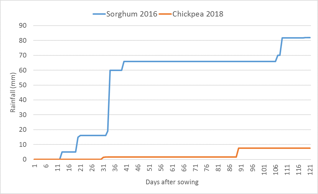 This line graph show cumulative in-crop rainfall at a site near Clermont, in Central Queensland (Sands et al., 2019).