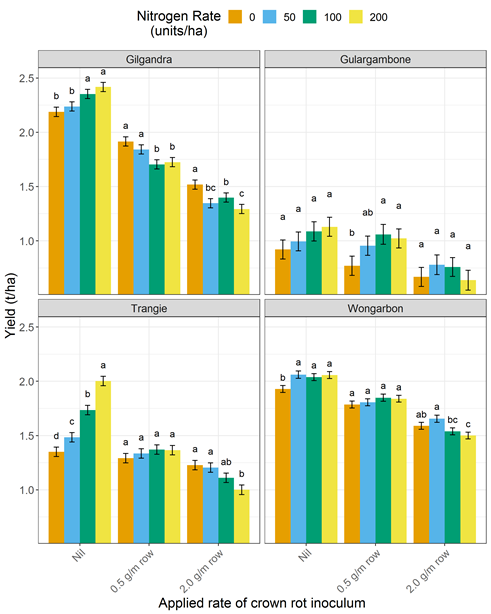 These four column graphs show the interaction of nitrogen nutrition and crown rot infection on bread wheat (Suntop  and EGA Gregory ) yield across four sites in central NSW in 2018 (Gilgandra, Gulargambone, Trangie and Wongarbon). Note: Nil applied inoculum represents a BDL/low risk, 0.5 g/m row a medium risk and 2.0 g/m row a high risk of crown rot infection.