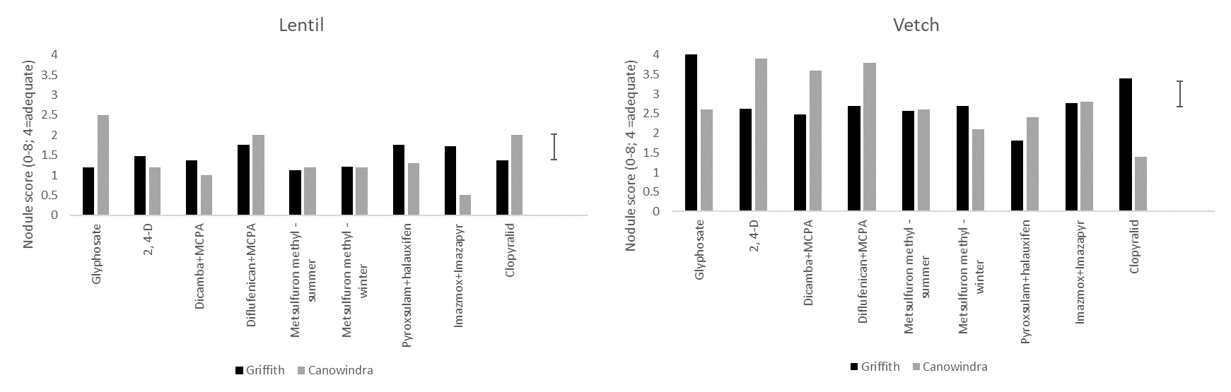 These two column graphs show the effect of a range of herbicides applied in 2019 to the nodulation score (based on the system of Yates et al. 2016) of lentil and vetch sown in 2020 at Griffith and Canowindra. (Note: while the nodulation scoring system used covers the range 0-8, a score of 4 is considered adequate. Fixing nitrogen is an energy expensive process and therefore very high scores are not frequently encountered in the field.) 
