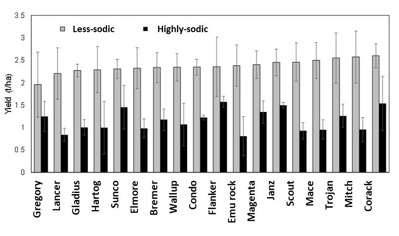 This column graph with error bars show the mean grain yields of wheat lines at the sodic site in 2018, ranked in ascending order of yield at less-sodic site in 2018.