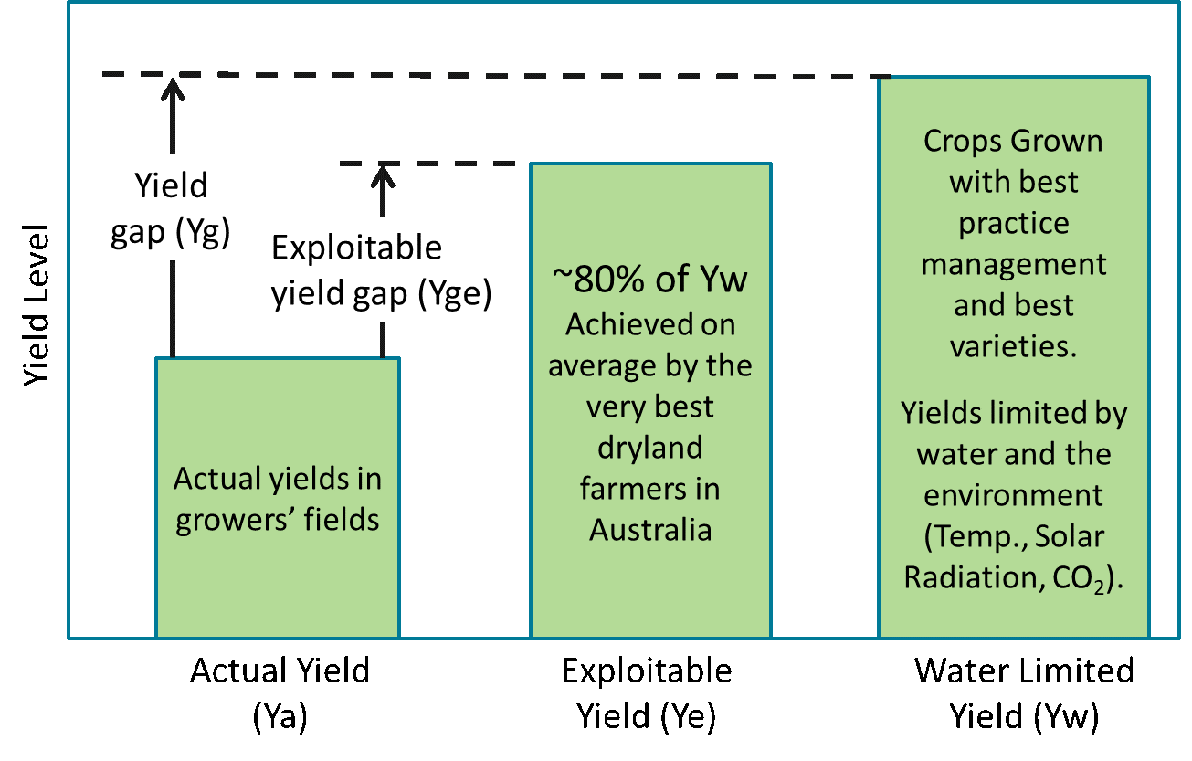 This figure illustrates the difference in Actual yield, water-limited yield and exploitable yields (after Lobell et al. 2009)