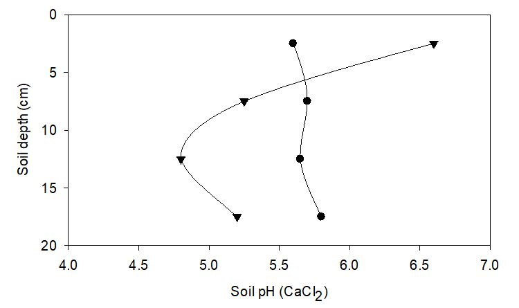 Figure 1 is a line graph showing Soil pH profiles taken from the field 40 m apart on the same soil type. Soil pH stratification following approximately 90 years of agriculture (▼) compared to under native grass with no agricultural productivity (cemetery, ●), north of Canowindra, NSW.