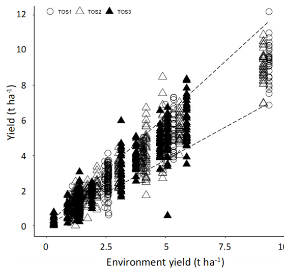 This scatter plot with line of best fit illustrates the grain yield as a function of the environment yield (average treatment yields for each site x season x time of sowing) for 2018-2020 with different time of sowing. Open circle indicates very early (TOS 1), open triangles early (TOS2) and closed triangle normal (TOS3).