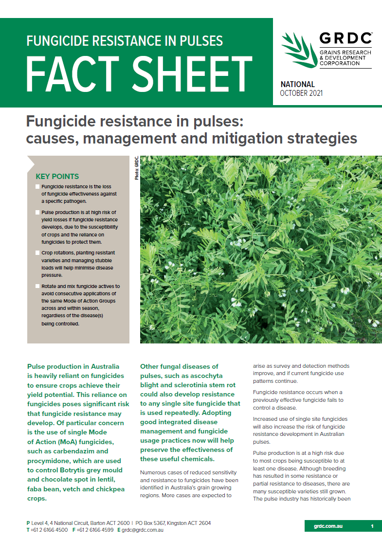 image of Fungicide resistance in Pulses Fact Sheet-cover-thumbnail