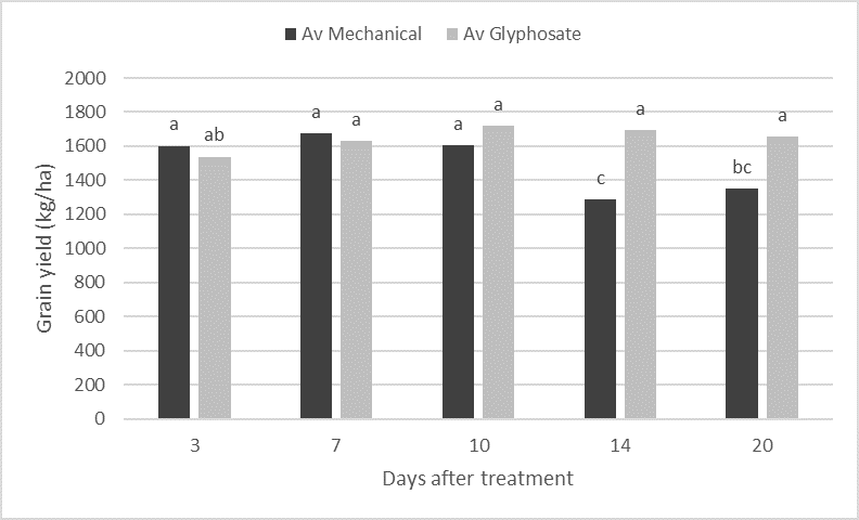This column graph is a comparison of mechanical and glyphosate desiccation treatments by mean grain yields measured across all PM stages (lsd = 199, P=0.05)