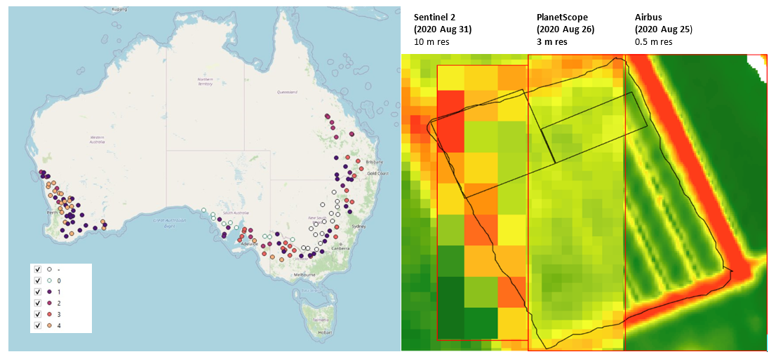 Picture of Australia (left) showing overview of main wheat trials and (in colour) the level of measurements being collected for INVITA in 2021 winter season. and (right) heat map of a paddock showing example of different satellite resolutions in 2020 WMaA20BEVE6