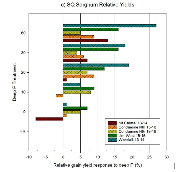 A bar graph showing relative yield responses to deep applied P treatments as a % of the untreated control for sorghum in southern Queensland. Note different scales.