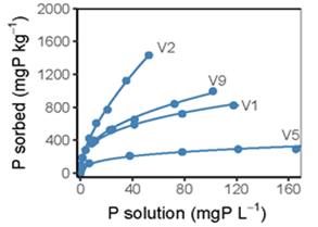Line graph showing phosphorus sorption curves for soils collected from the 10-30cm layer of cropped Vertosols, with curves fitted using a non-linear regression model based on a Freundlich equation