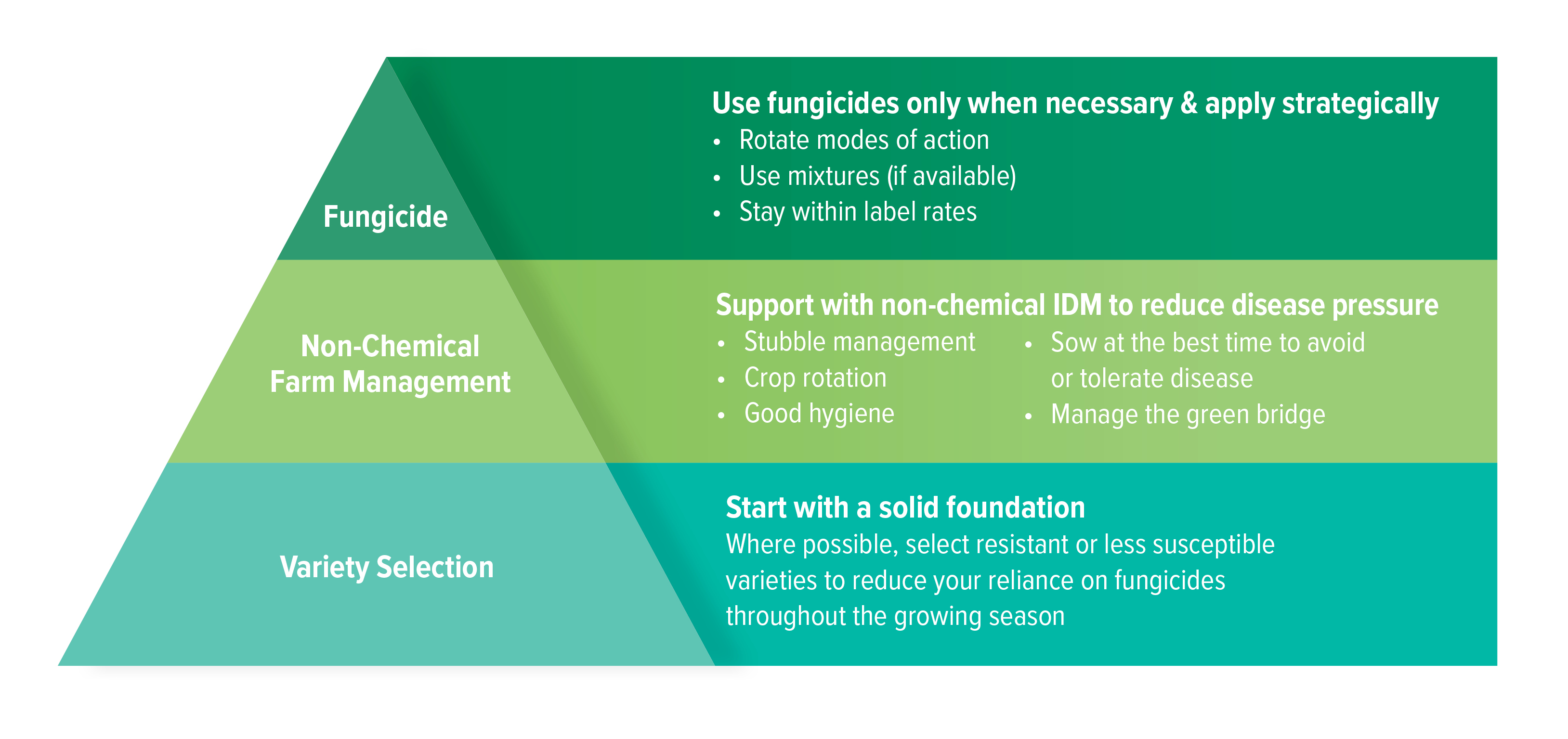 Growers should seek to provide a strong and reliable foundation of resistant or less-susceptible crop varieties, supported by non-chemical integrated disease management that can be complemented by strategic and responsible use of fungicides.