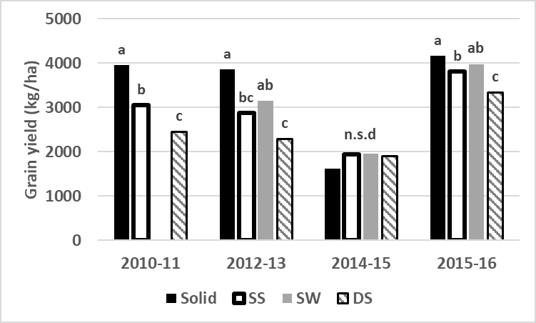 Figure 4 is a column graph showing grain yield at 0% moisture from the 4 dryland experiments across row configurations.                  Letters indicate statistical difference at the at P=0.05 level. Individual site statistics; 2010-11 lsd: 450.6 kg/ha, 2012-13 lsd: 831.0 kg/ha, 2014-15 n.s.d and 2015-16 lsd: 201.6 kg/ha. 