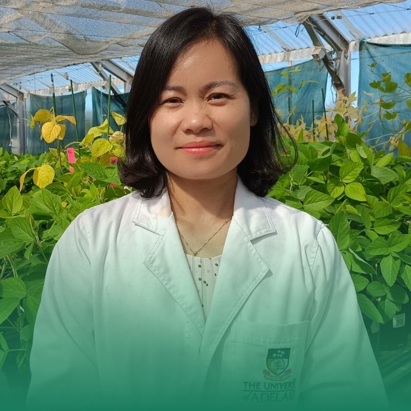 Future-proofing Australia’s soybean industry