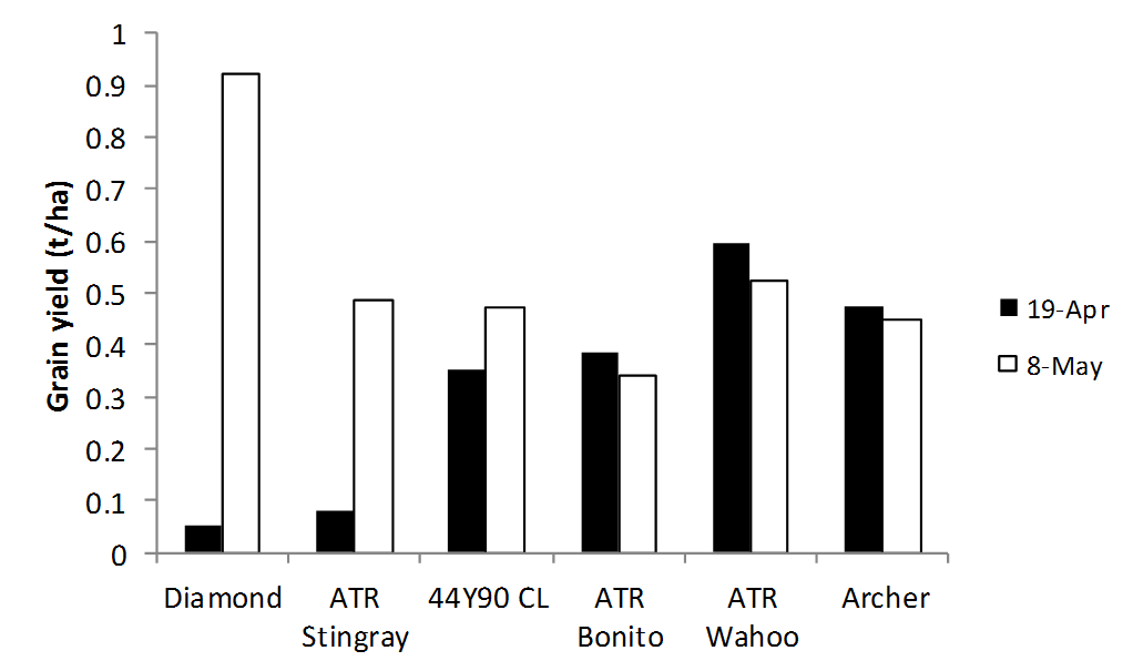 Figure 6 is a column graph which shows the grain yield of six canola varieties - Diamond, ATR Stingray, 44Y90 CL, ATR Bonito, ATR Wahoo and Archer - sown at two sowing dates at Narrabri, 2017 (l.s.d. P<0.05 = 0.18 t/ha). ATR Stingray , ATR Bonito  and ATR Wahoo  are protected under the Plant Breeders Rights Act 1994.