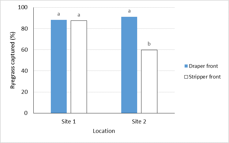 This column graph shows the percentage of ryegrass seed collected by stripper front and conventional front at two locations. At site one there is no difference, at site 2 the draper front collected significantly more ryegrass seeds than the stripper front