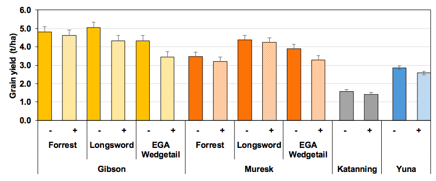 Bar graph of effect of grazing on grain yields at different locations 