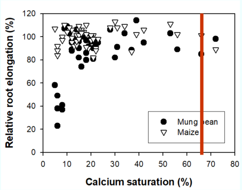 This scatter graph shows the effect of Ca saturation on the rate of root elongation (a measure of Ca deficiency) for maize and mungbean in acid soils limed with MgO and mixtures of MgO and CaSO4