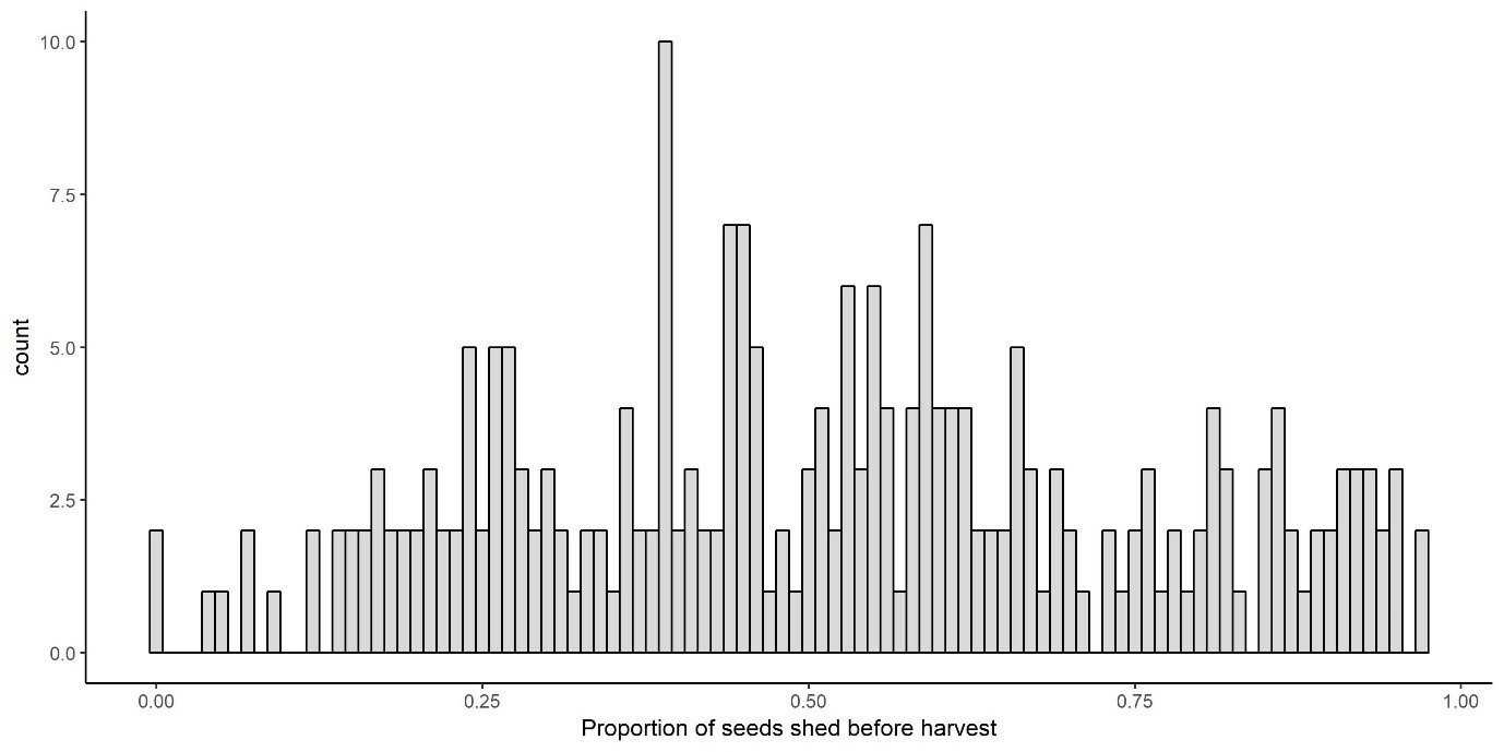 Column bar graph showing the incidence of pre-harvest seed shedding by annual ryegrass in cereals, recorded from 2015 to 2017
