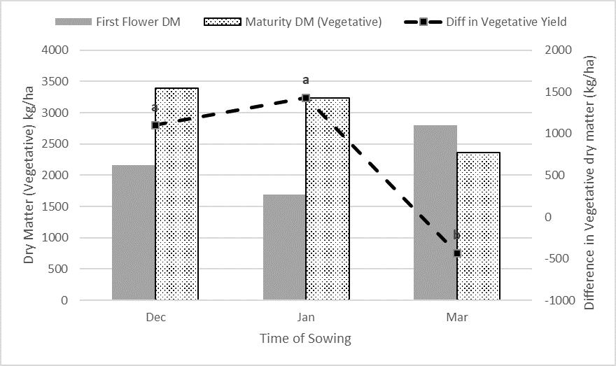 This column and line graph shows the difference in vegetative dry matter from the start of flowering to maturity across TOS. Means with the same letter are not significantly different at P=5% (LSD=415)