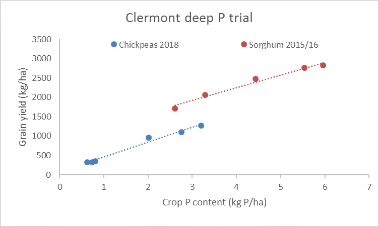 This scatter graph with line of best fit shows the relationship between crop P content and grain yield for consecutive crops of sorghum (2015/16) and chickpea (2018) grown at a site near Clermont, in Central Queensland (Sands et al., 2019).