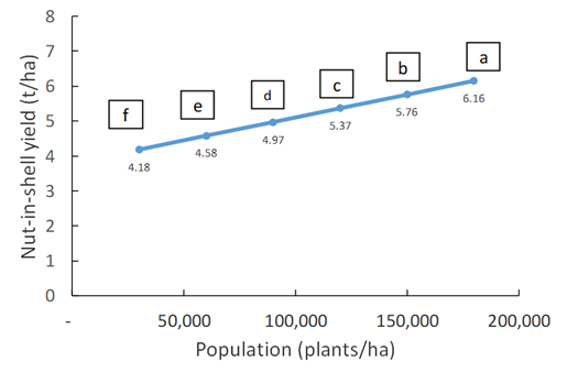 This line graph shows the population effect on nut-in-shell yield of peanut variety ‘Kairi ’ for the second field trial 2018/19. Data points with the same letter are not statistically different (P=0.05)