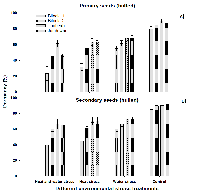 These two column graphs with error bars show the effect of heat and soil water stress treatments applied at panicle emergence on percentage seed dormancy of freshly harvested (A) primary and (B) secondary hulled seeds of four Avena sterilis ssp. ludoviciana biotypes incubated at constant 9⁰C under 12/12 hour light/dark condition for 42 days. Error bars represent ± standard errors of the mean of three replicates.
