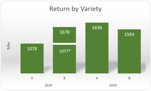 This column graph shows the return by variety 2019-20 (Variety A = Scepter , Variety B = Beckom )