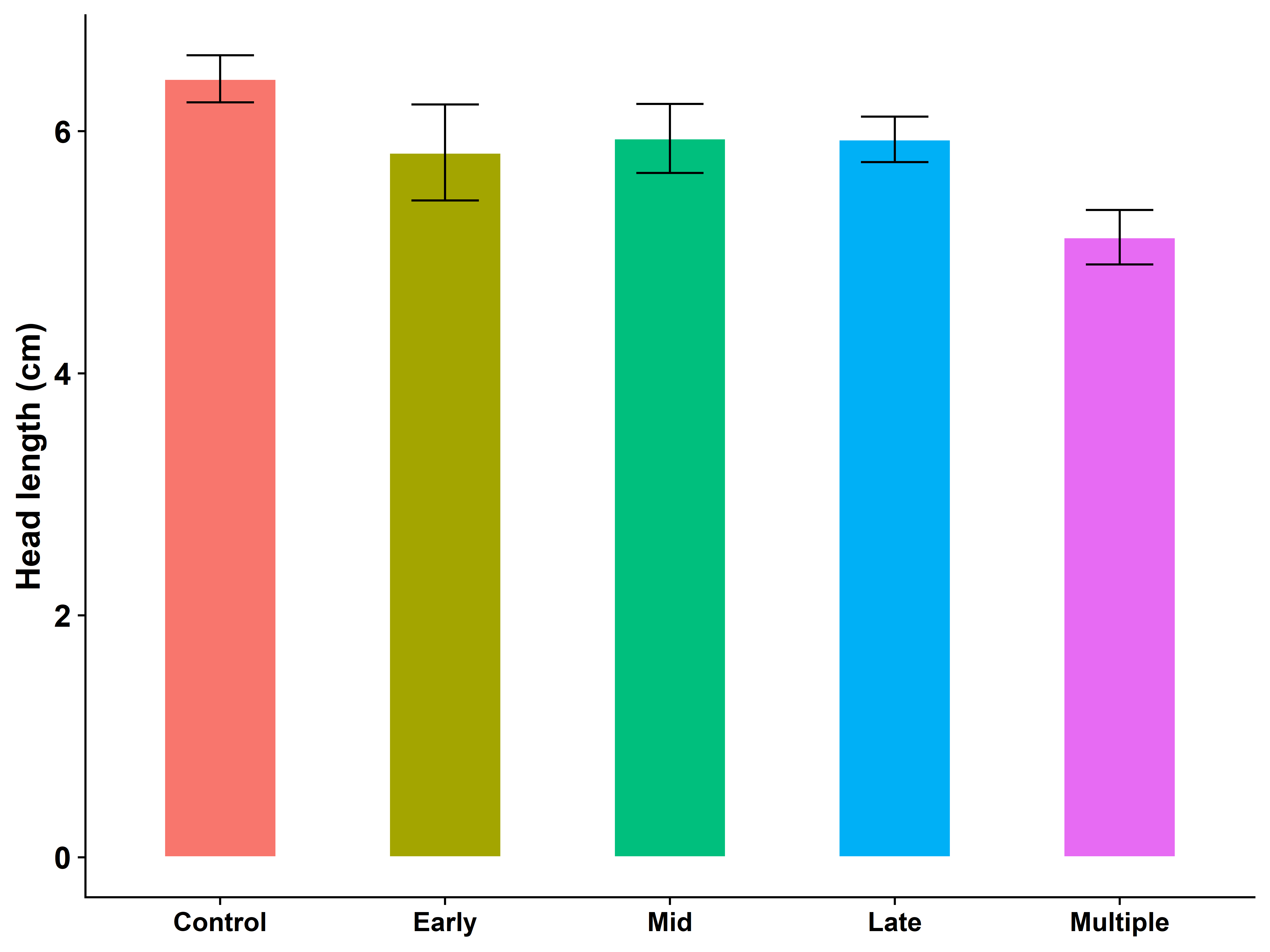 This colour column graph with error bars shows the effect of grazing treatments on seed head length (cm) of feathertop Rhodes grass (March and April 2020)