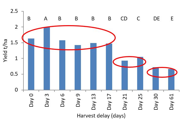 Figure 2 is a column graph of harvested grain yields in response to delay in direct heading from the first harvest timing ‘day 0’- Wellington 2013