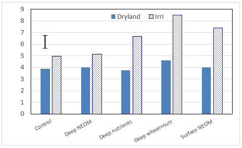 Figure 4. Effect of irrigation (prior to sowing) on grain yield responses of barley to soil amelioration (PBC, 2020). Vertical bar represents Lsd (P=0.05 = 1.01 t/ha) for interaction between amendment and irrigation.