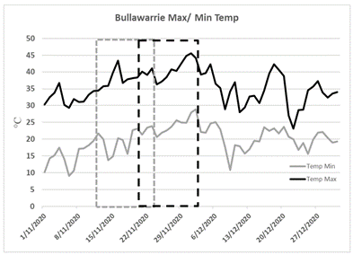 This line graph shows both the maximum and minimum temperatures at "Bullawarrie" Mungindi in 2020-21. Dashed boxes indicates the flowering window of TOS 1 (grey) and TOS 2 (black).