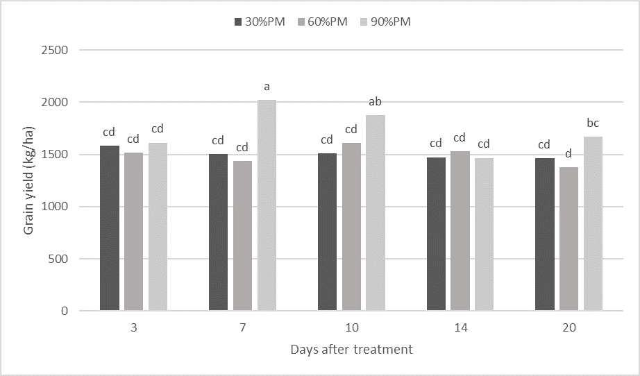 This column graph shows the comparison of mean grain yields across maturity stages at each sampling interval  (lsd = 244, P=0.05).